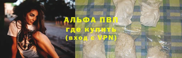 Альфа ПВП Новодвинск