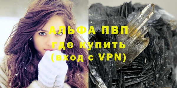 Альфа ПВП Новодвинск