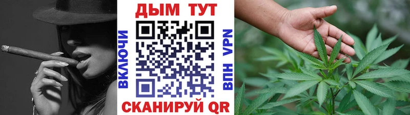 Бошки марихуана SATIVA & INDICA  Ядрин 
